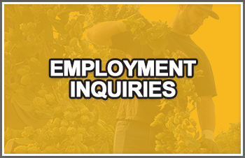 Employment Inquiries